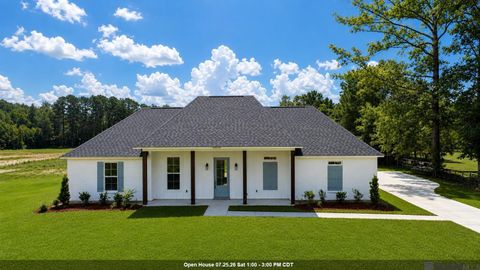 Homes For Sale - 34500 N Corbin Rd<br/> Walker, LA 70785