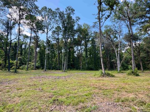 Vacant Land For Sale - RS-2&3 La Hwy 16<br/> Saint Helena County, Denham Springs, LA 70706