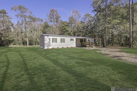 Homes For Sale - 31688 Courtney Cir<br/> Walker, LA 70785