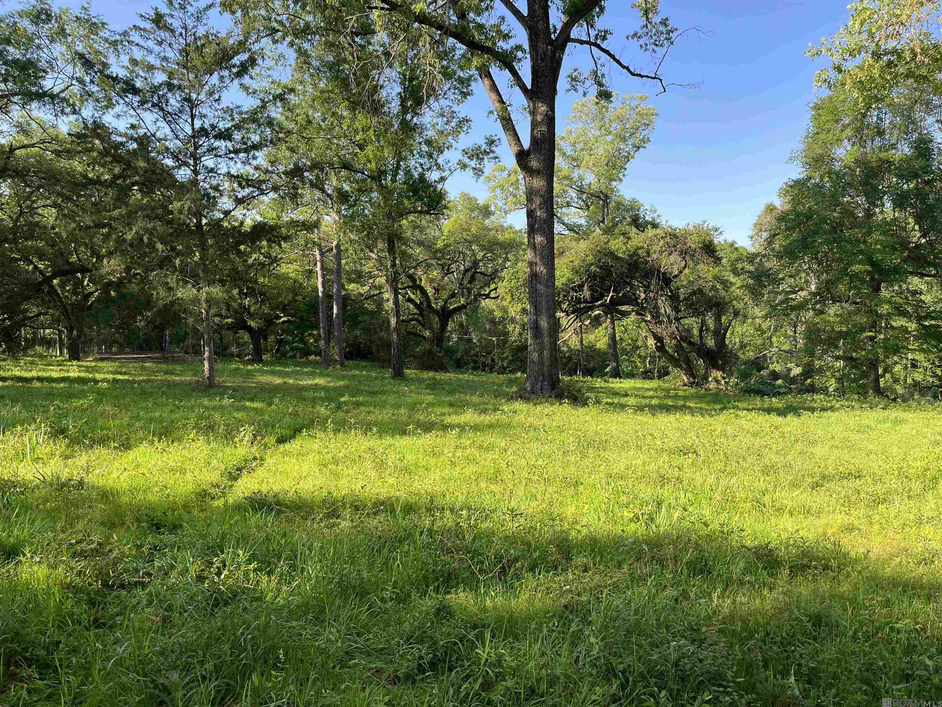 8705 Hwy 61, Saint Francisville, Louisiana image 1