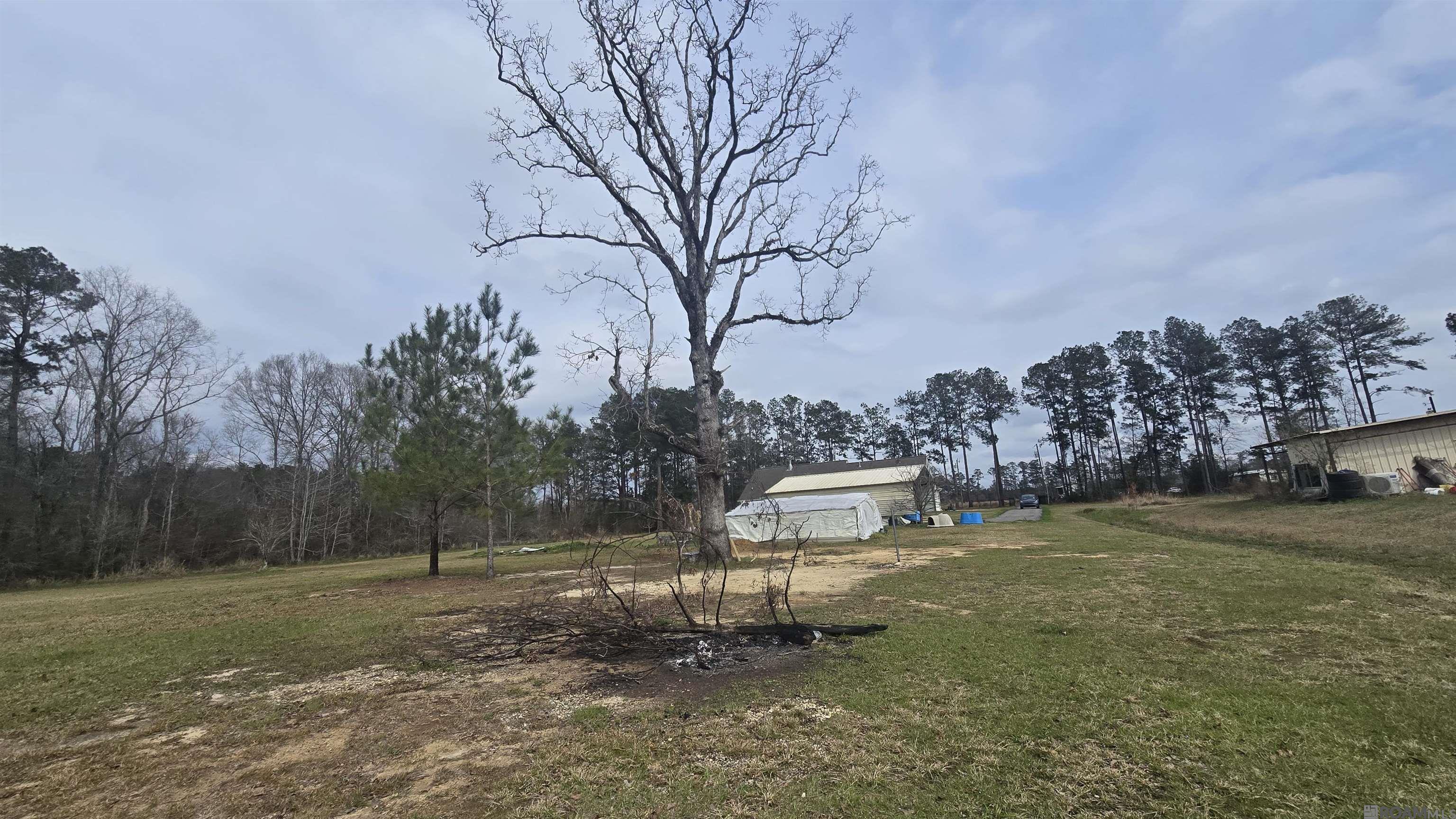 49147 Woodhaven Rd, Tickfaw, Louisiana image 37