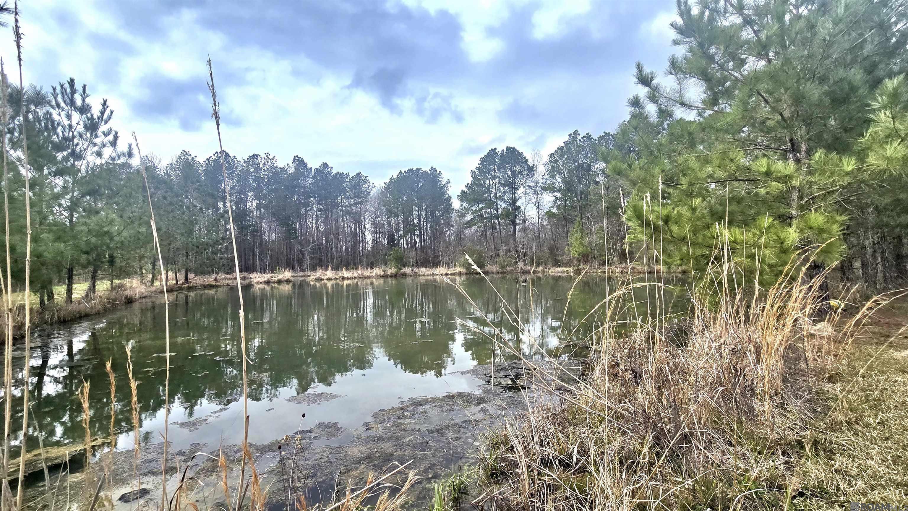 49147 Woodhaven Rd, Tickfaw, Louisiana image 42