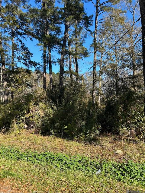 Vacant Land For Sale - LOT 15 Magnolia Dr<br/> Walker, LA 70785