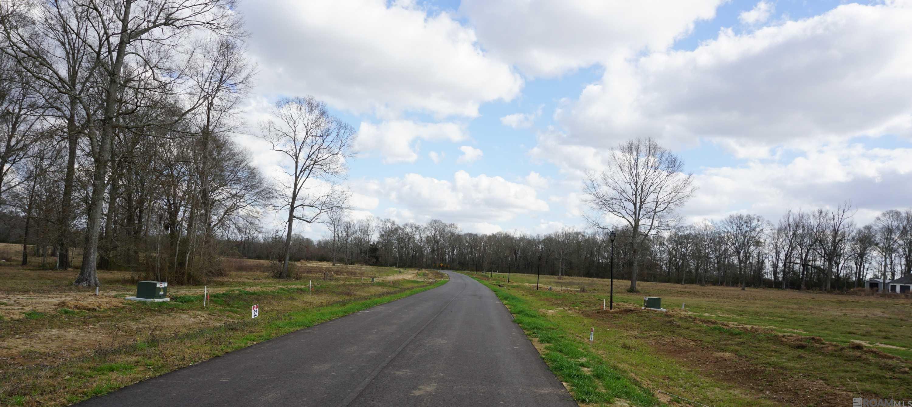 GranLake Lot 7 La Hwy 68, Jackson, Louisiana image 14