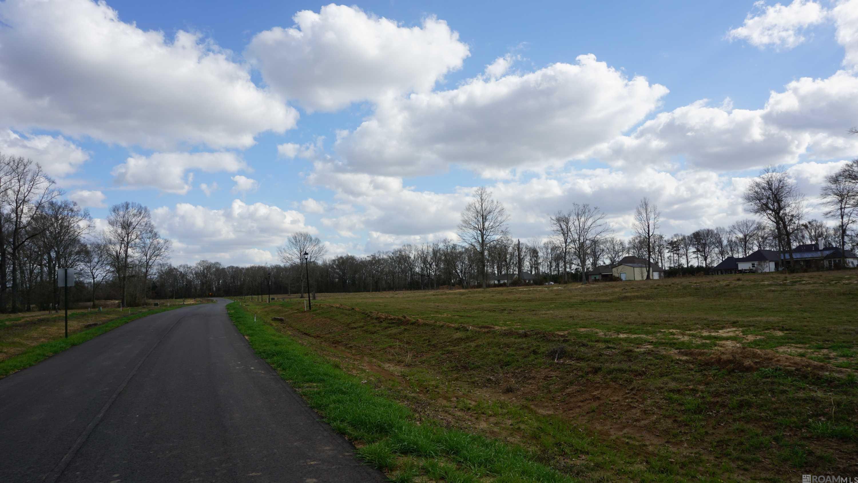 GranLake Lot 7 La Hwy 68, Jackson, Louisiana image 13