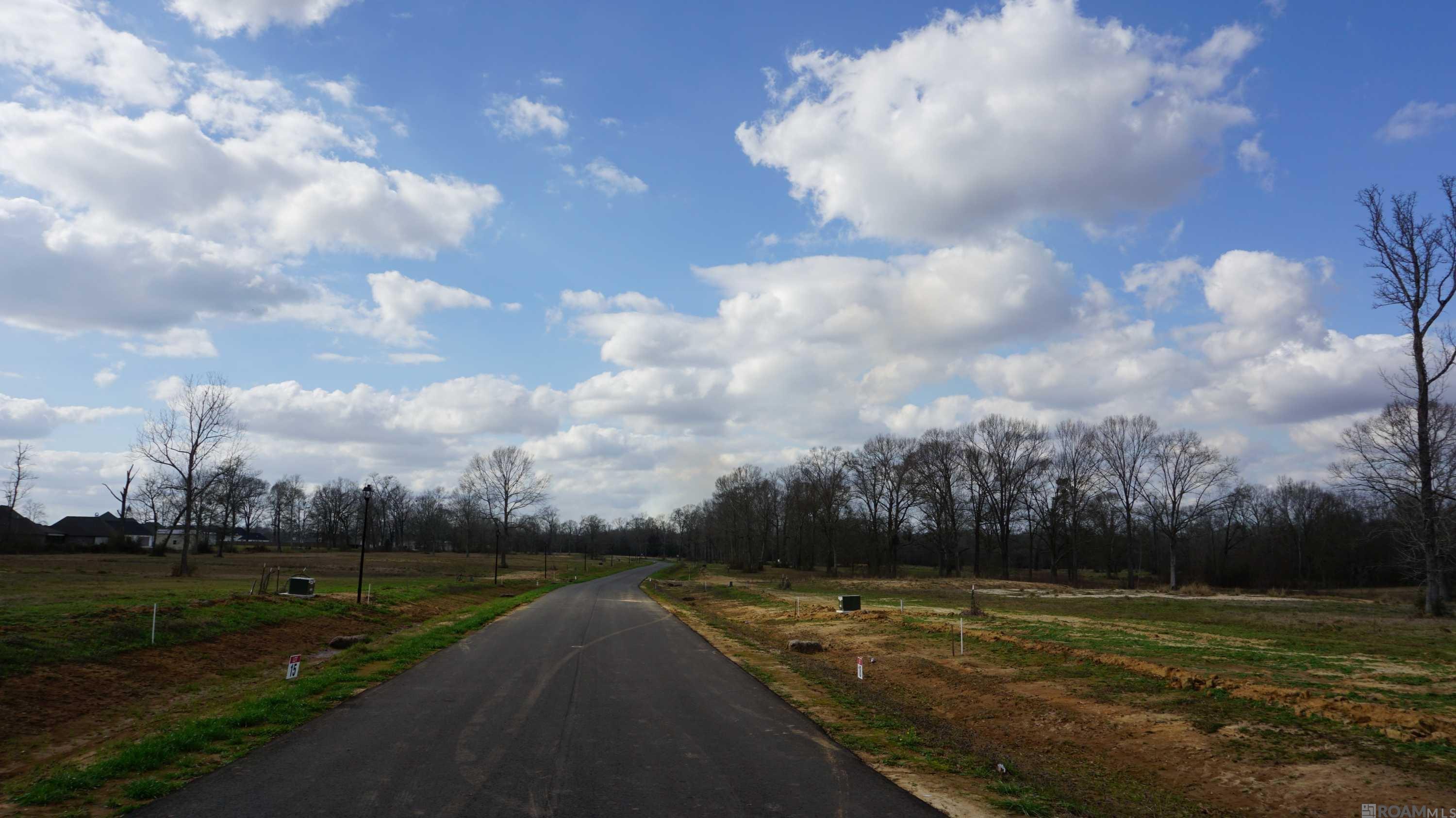 GranLake Lot 7 La Hwy 68, Jackson, Louisiana image 19