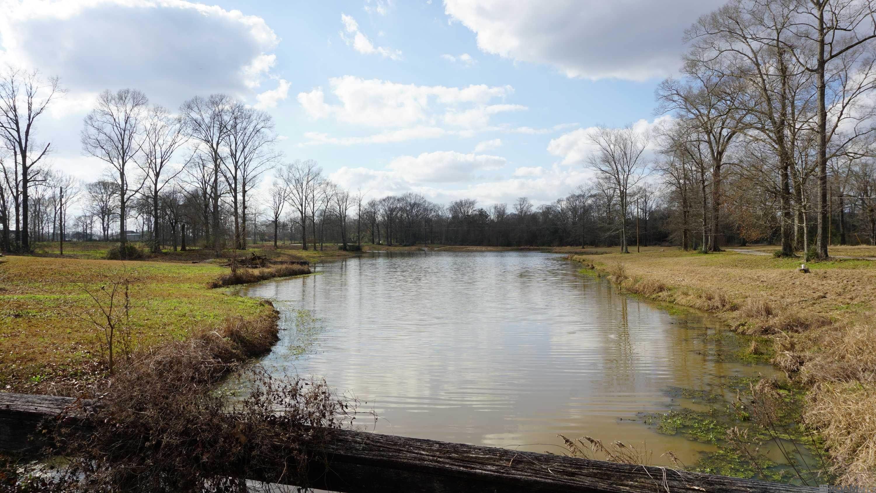 GranLake Lot 7 La Hwy 68, Jackson, Louisiana image 33