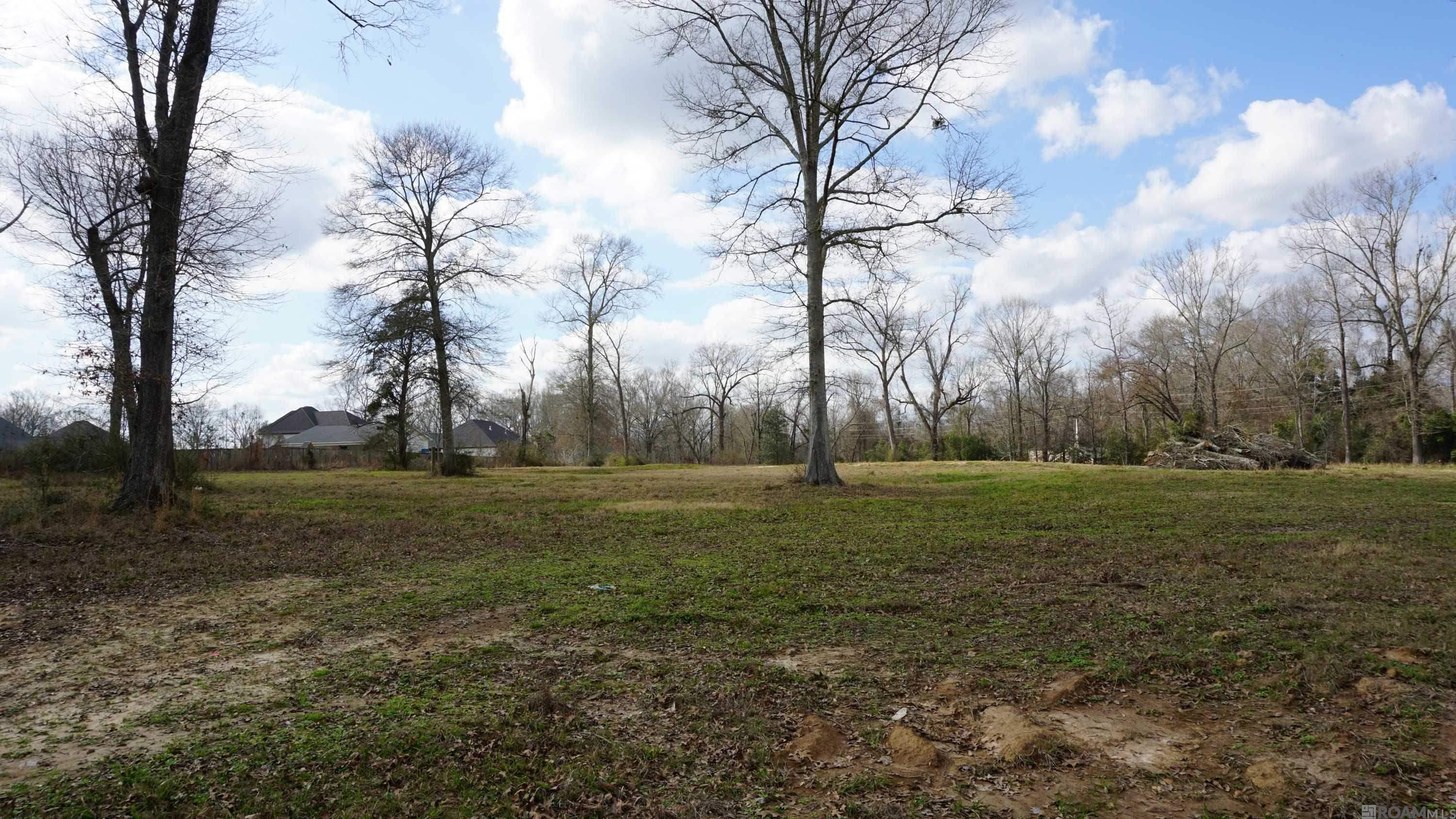 GranLake Lot 7 La Hwy 68, Jackson, Louisiana image 10