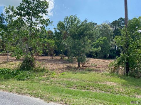 Vacant Land For Sale - 18389 Amite Acres Dr<br/> Prairieville, LA 70769