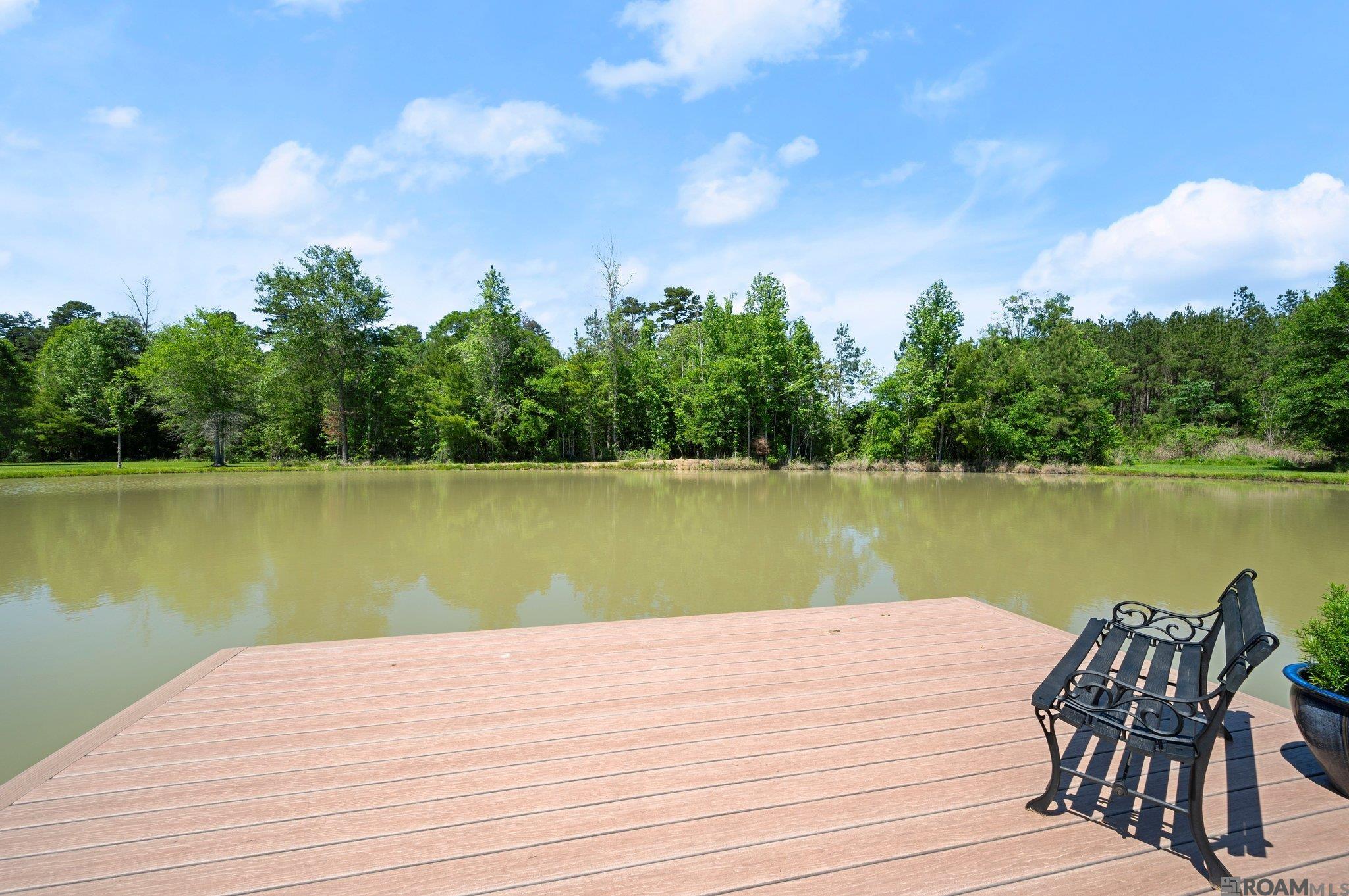 12821 Thoroughbred Ln, Walker, Louisiana image 27