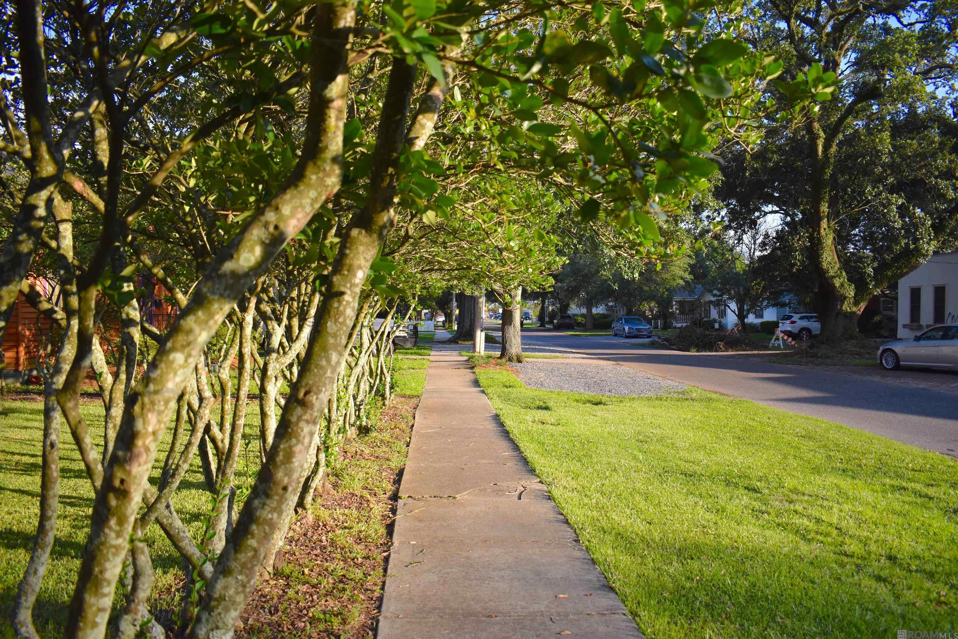 1603 St Rose Ave, Baton Rouge, Louisiana image 23