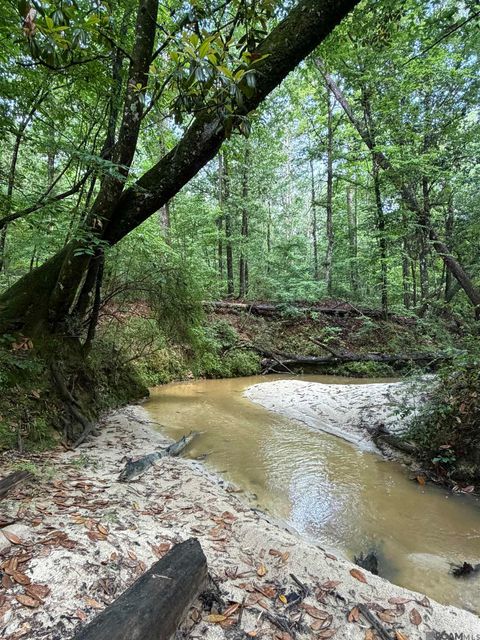 Vacant Land For Sale - 17 E Poor House Road<br/> Wilkinson County, Woodville, MS 39669