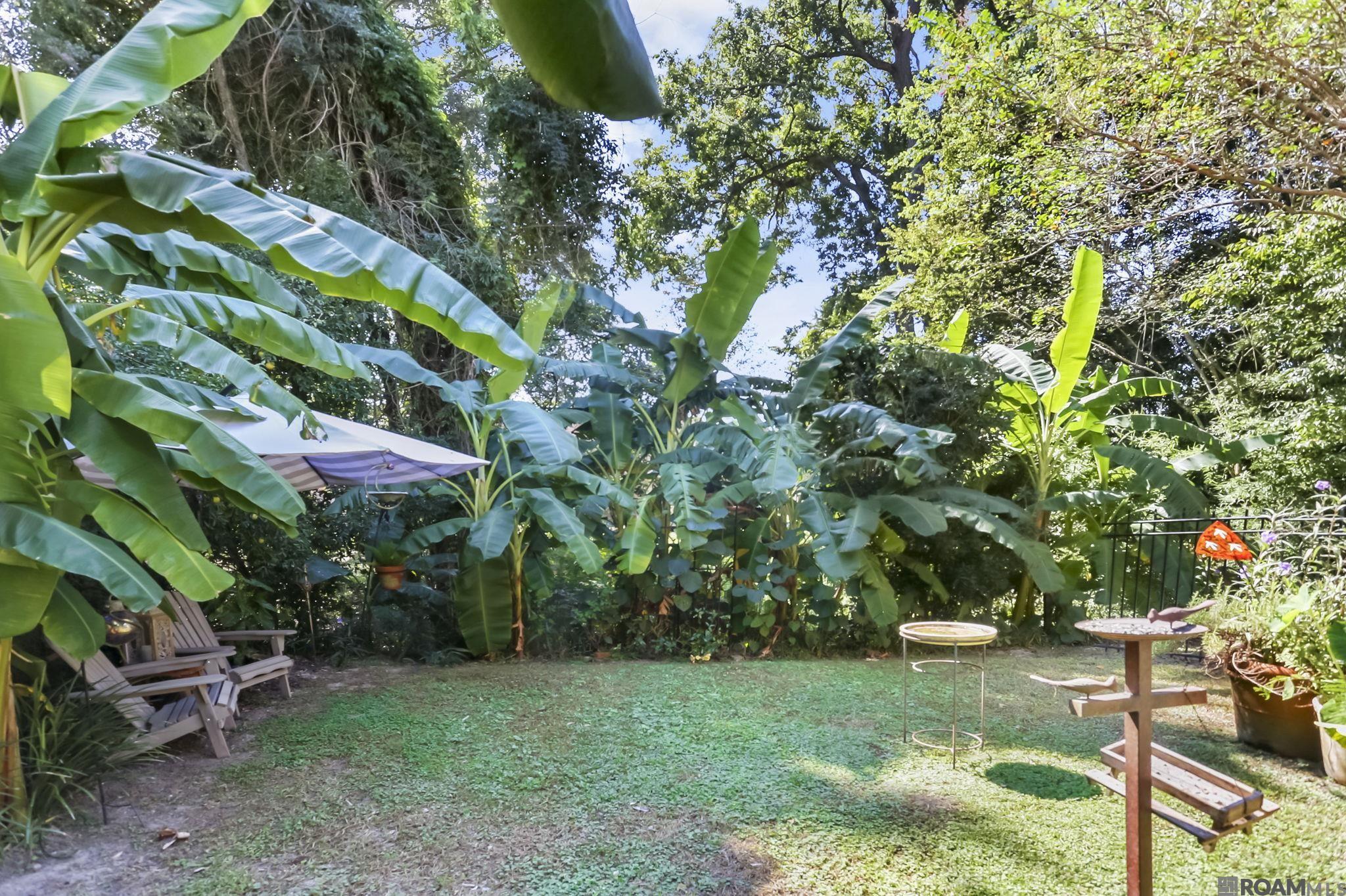 3137 Rue D Orleans, Baton Rouge, Louisiana image 24