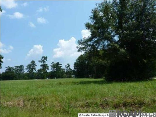 LOT 8 LYNDA, KILLIAN, LA 70462 - Image 5fffd9392defafa3dca2e53b4dab45c3/1674288182