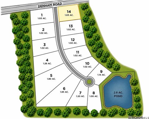 Vacant Land For Sale - 14875 Castle Dr<br/> East Baton Rouge County, Pride, LA 70770