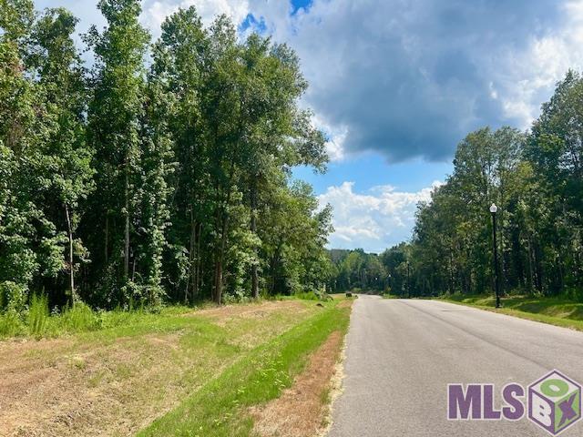 Lot 17 Oak Run Dr, Saint Francisville, Louisiana image 2