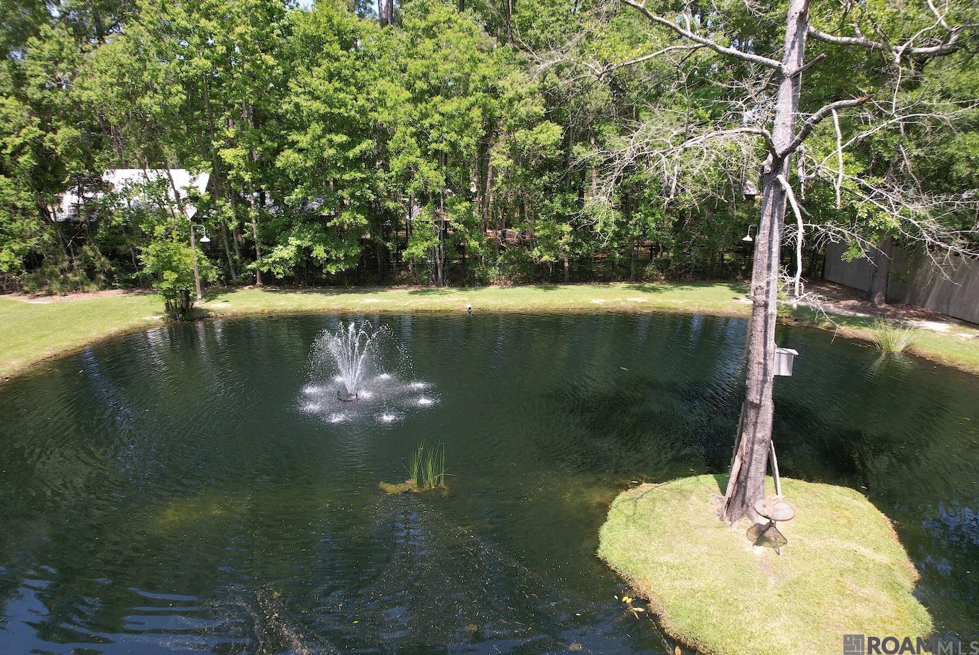 15309 East Ridge Dr, Walker, Louisiana image 35