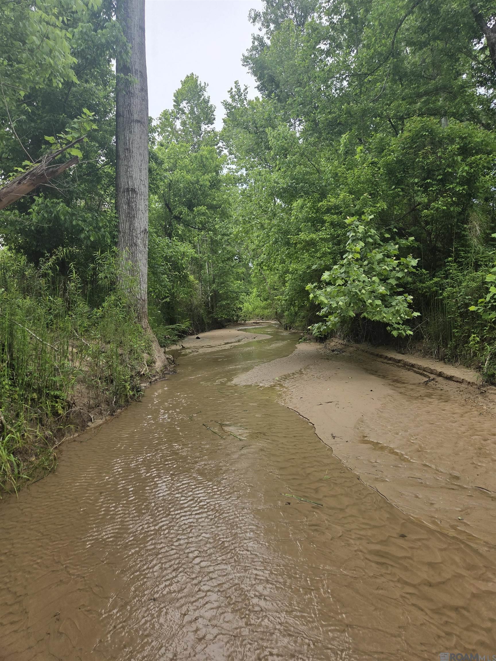 TBD La Hwy 66, Saint Francisville, Louisiana image 12