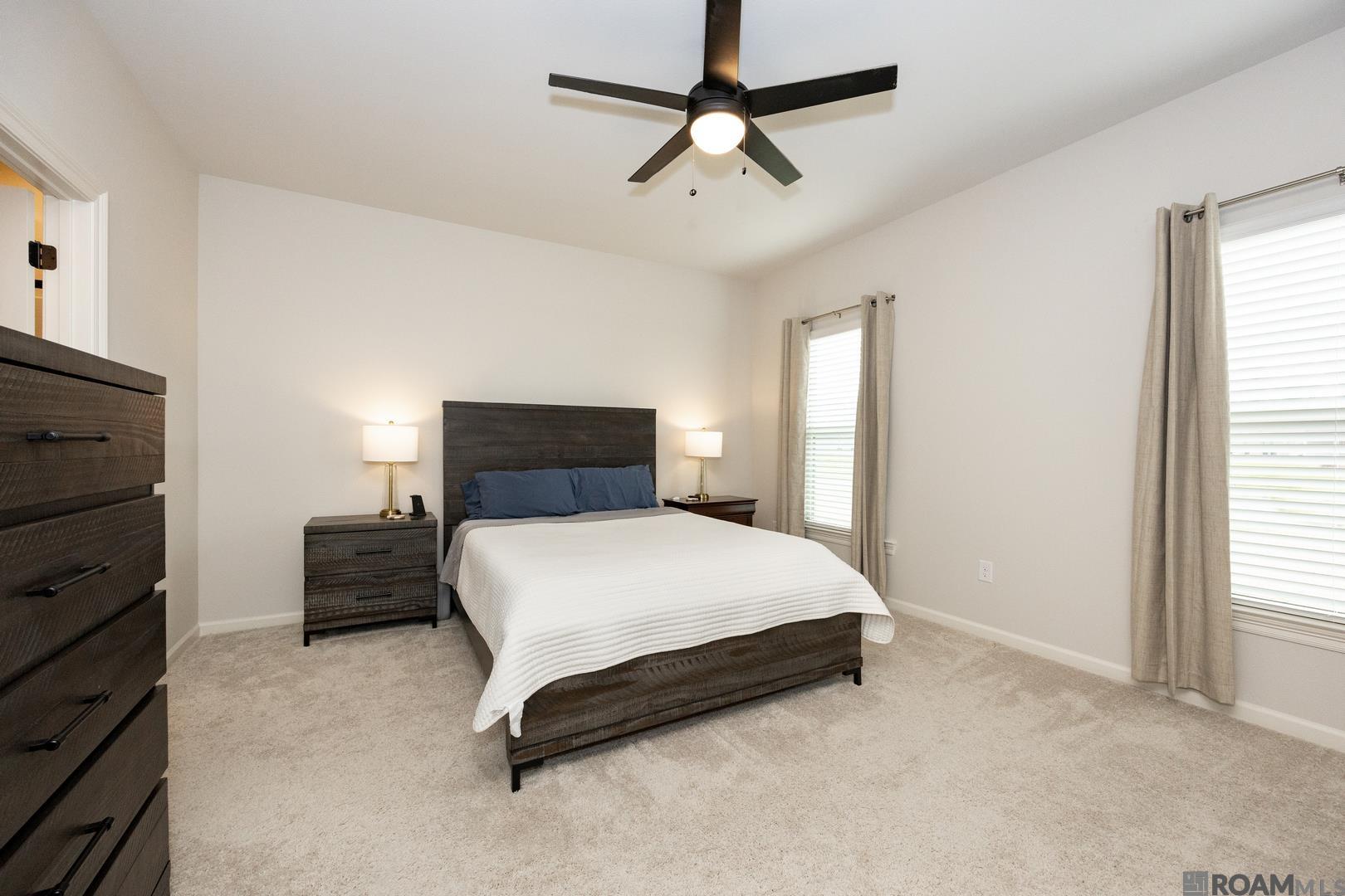 13992 Rosewell St, Denham Springs, Louisiana image 13