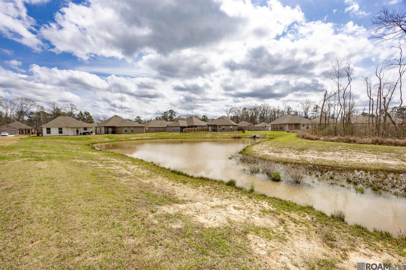13992 Rosewell St, Denham Springs, Louisiana image 24