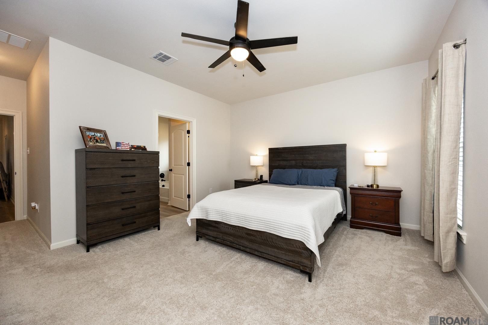 13992 Rosewell St, Denham Springs, Louisiana image 14