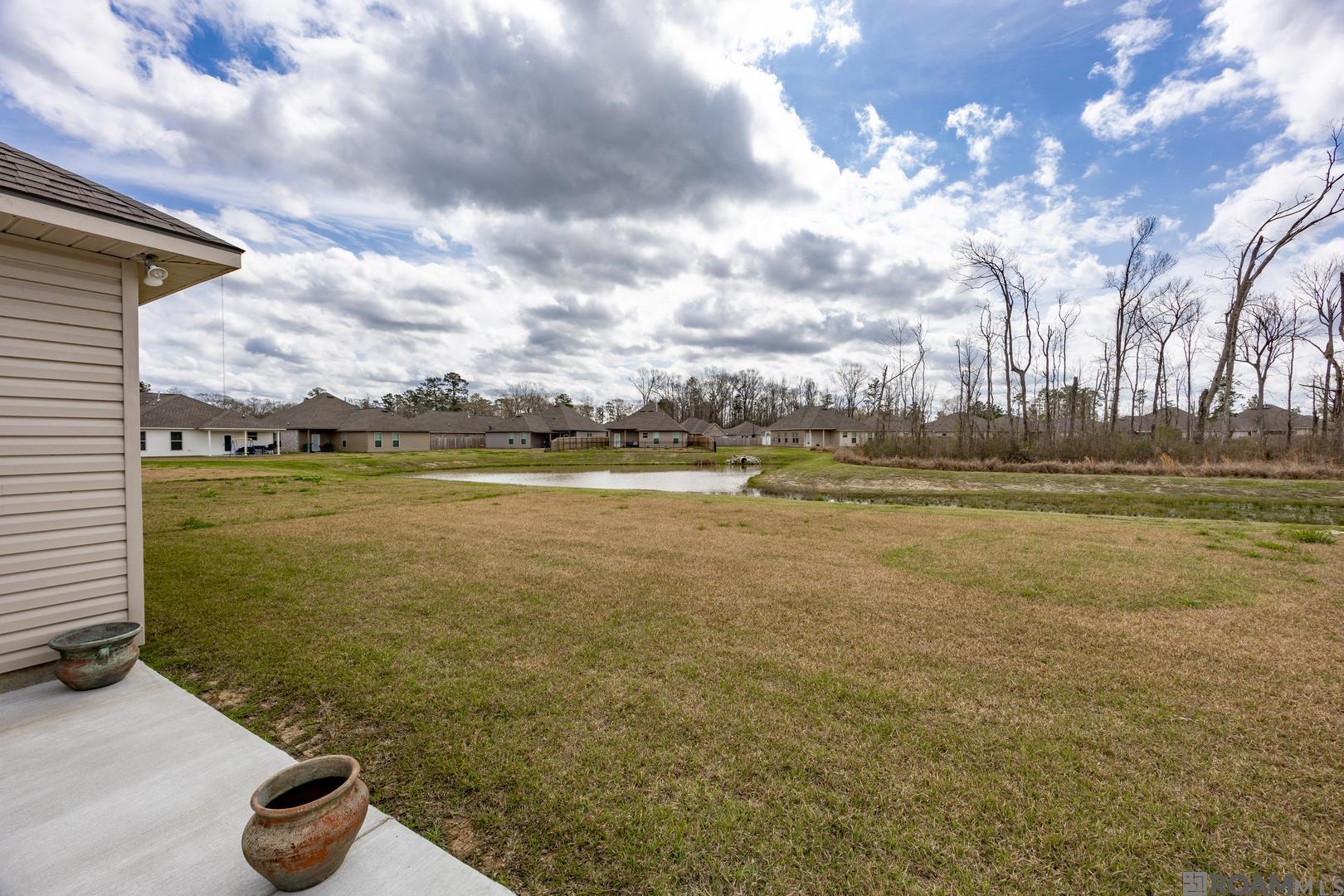 13992 Rosewell St, Denham Springs, Louisiana image 21