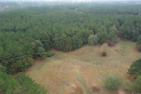 Vacant Land For Sale - LOT 4-C-2-A La Hwy 421<br/> Saint Francisville, LA 70775