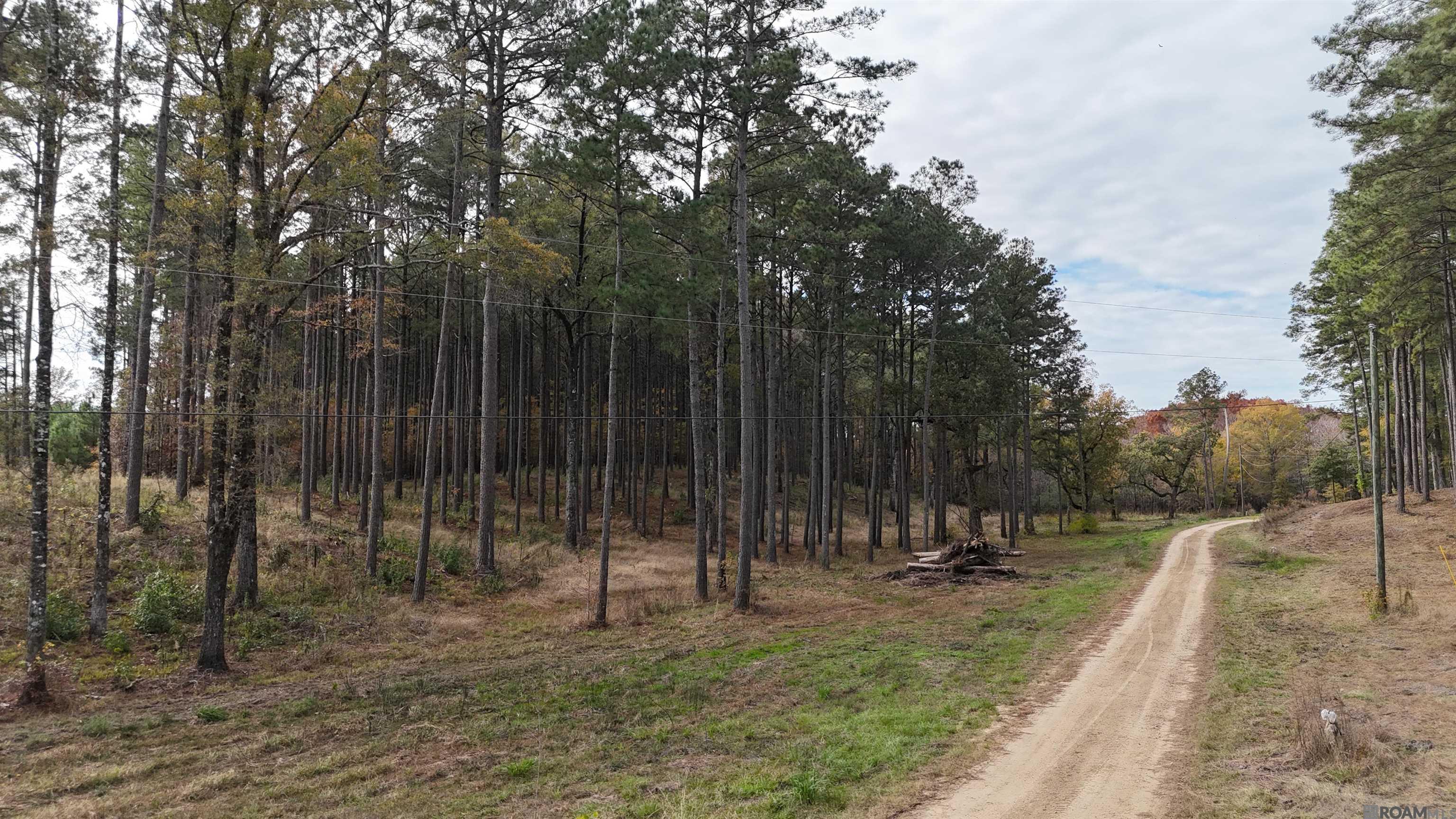 902 Osage Trail, Jena, Louisiana image 24
