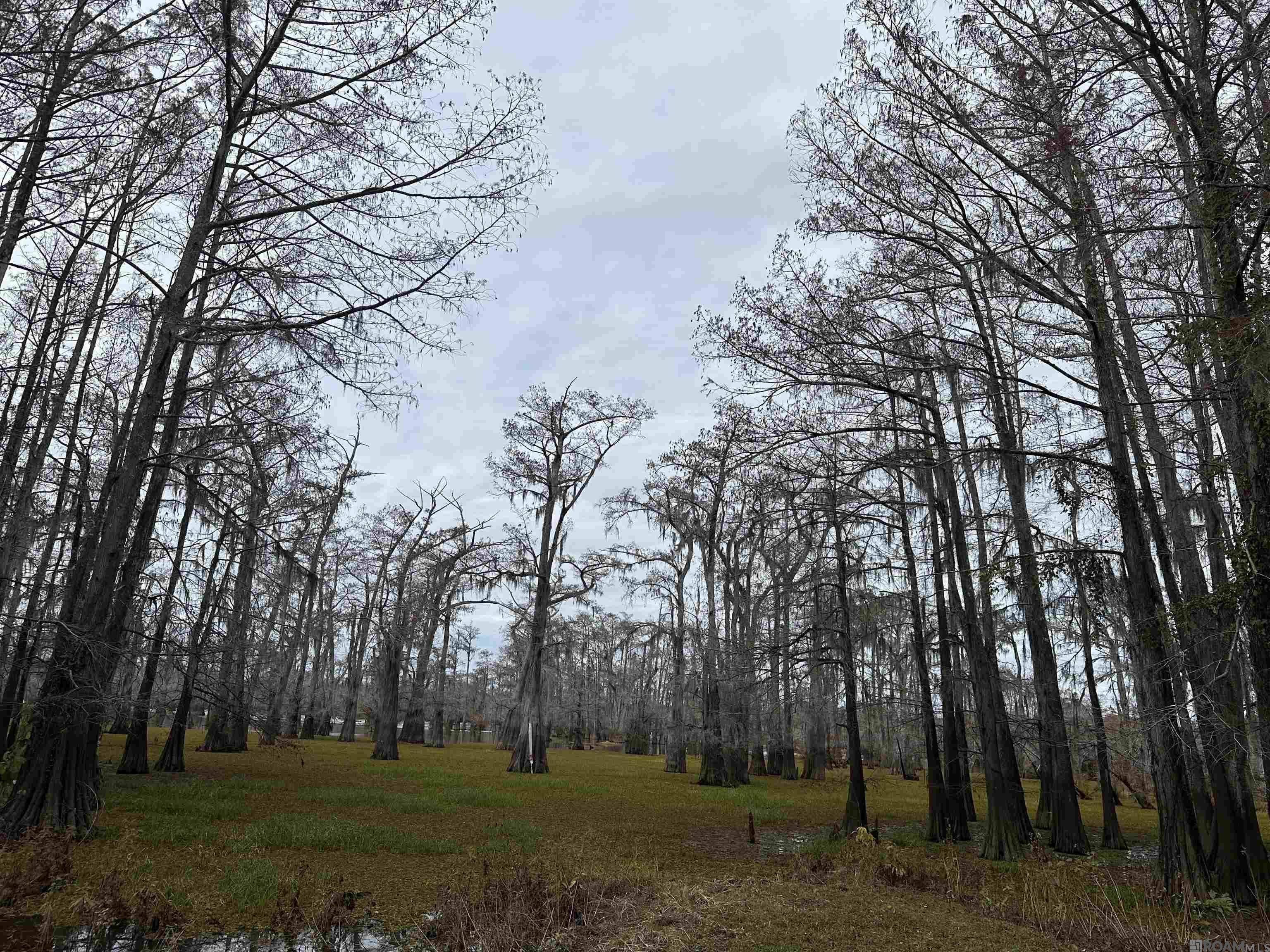 902 Osage Trail, Jena, Louisiana image 21