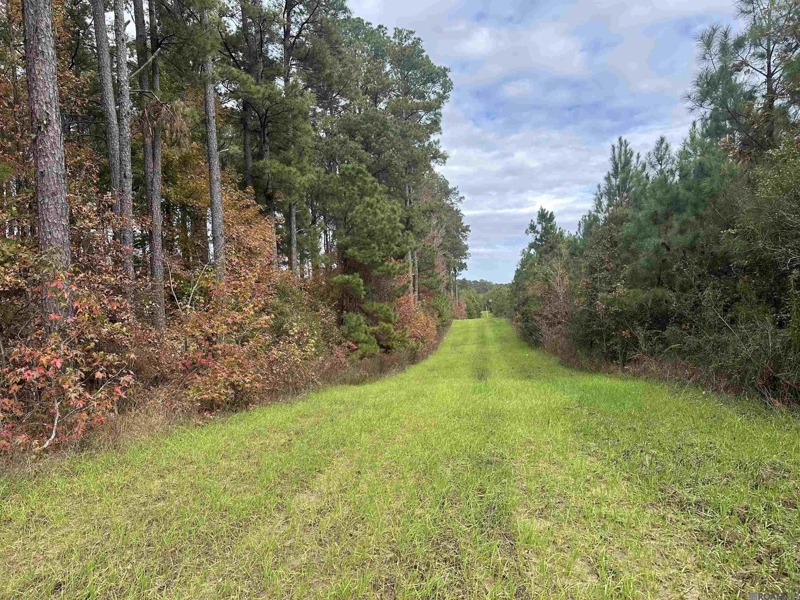 902 Osage Trail, Jena, Louisiana image 20