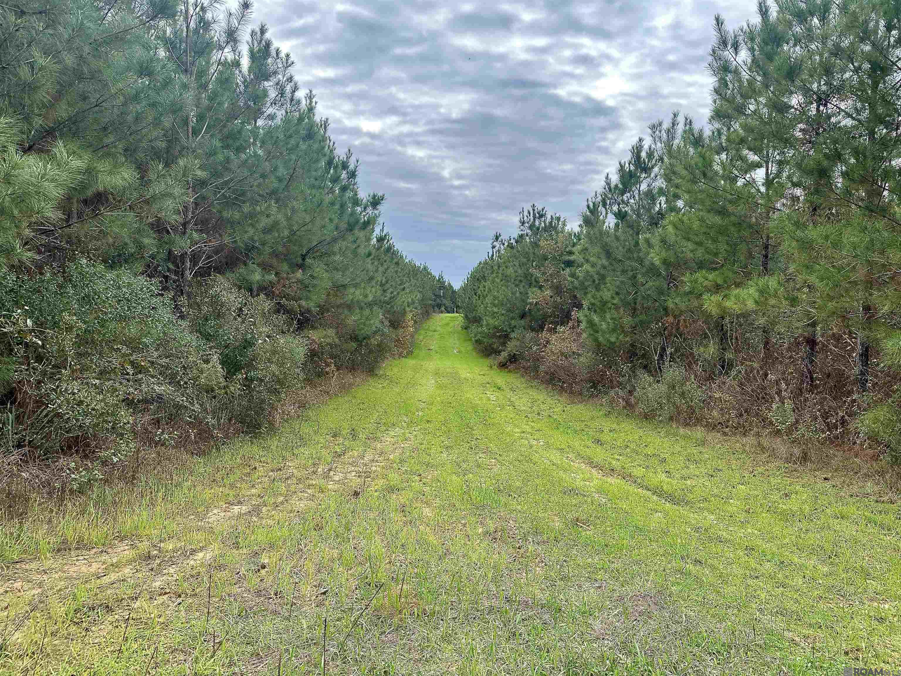 902 Osage Trail, Jena, Louisiana image 26