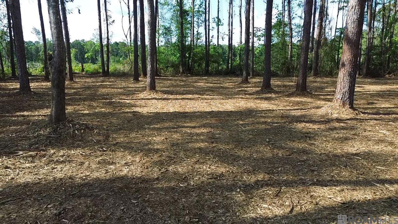 TBD Vernon School Rd, Mount Hermon, Louisiana image 4