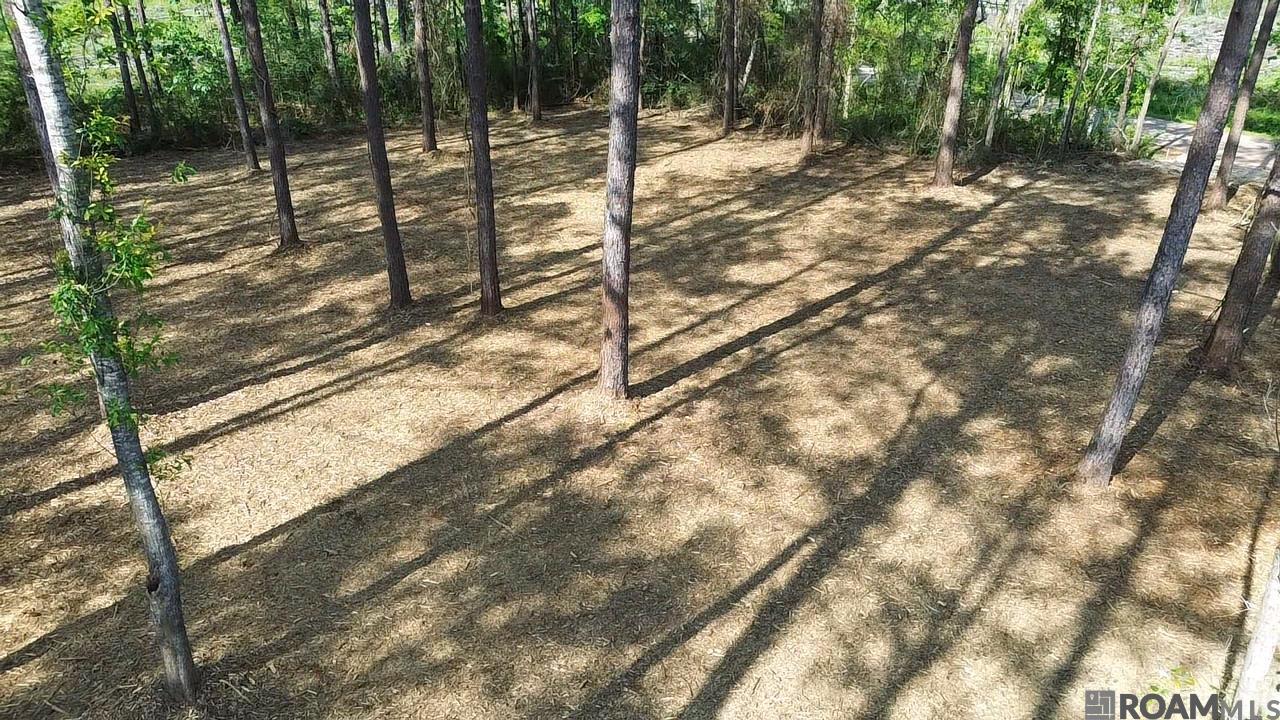 TBD Vernon School Rd, Mount Hermon, Louisiana image 5