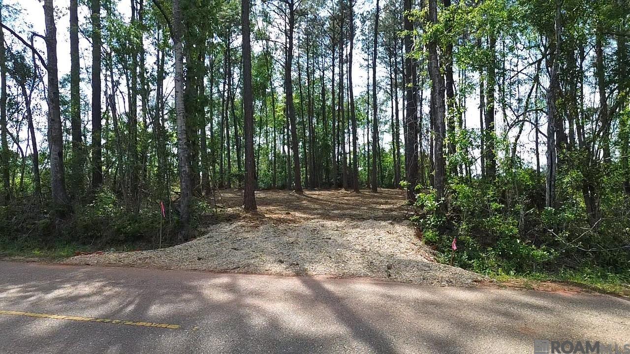 TBD Vernon School Rd, Mount Hermon, Louisiana image 2
