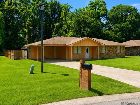 Homes For Sale - 7449 W Driftwood Dr<br/> Pointe Coupee County, Ventress, LA 70783