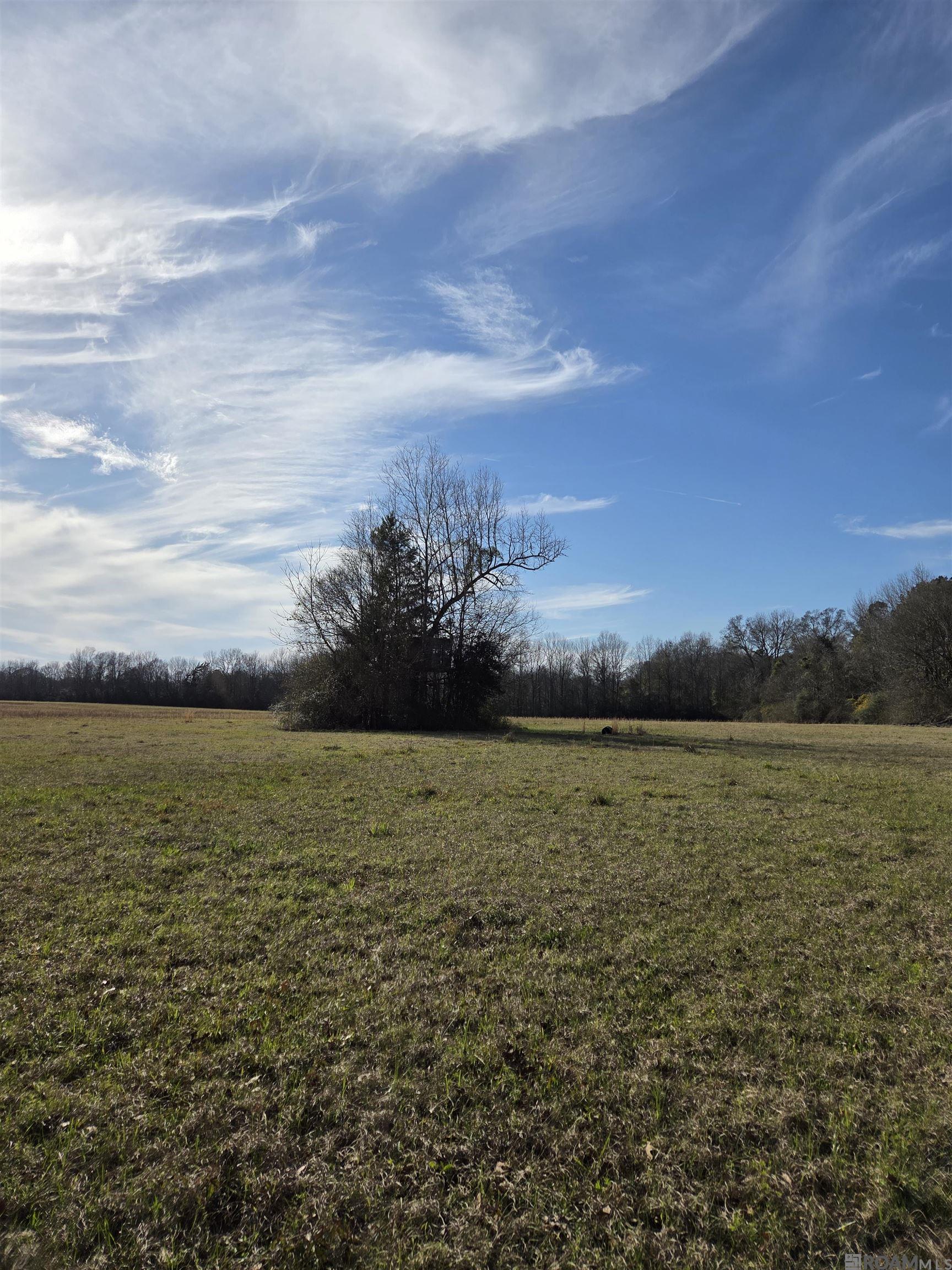 3097 La Hwy 966, Saint Francisville, Louisiana image 11