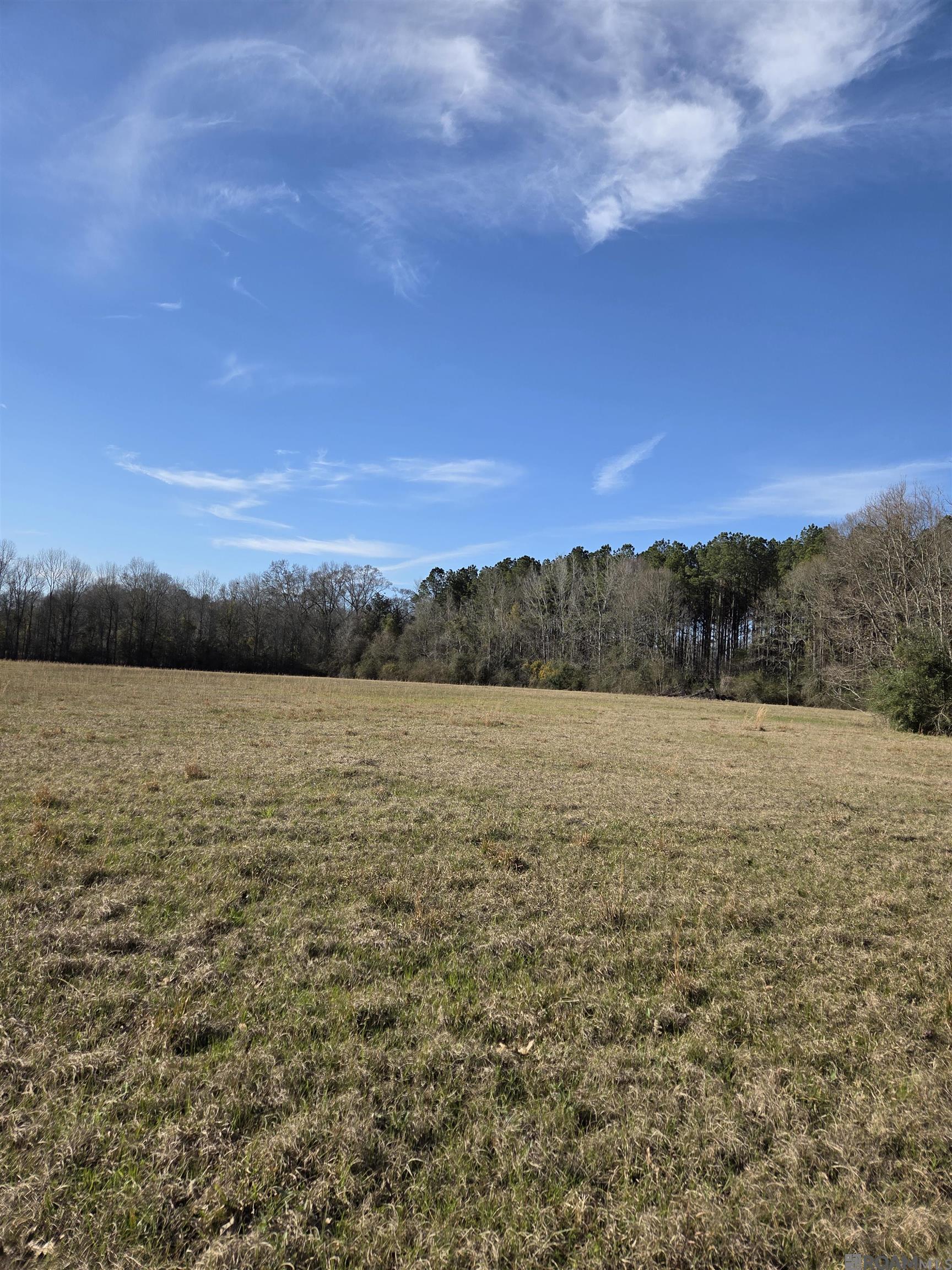 3097 La Hwy 966, Saint Francisville, Louisiana image 12