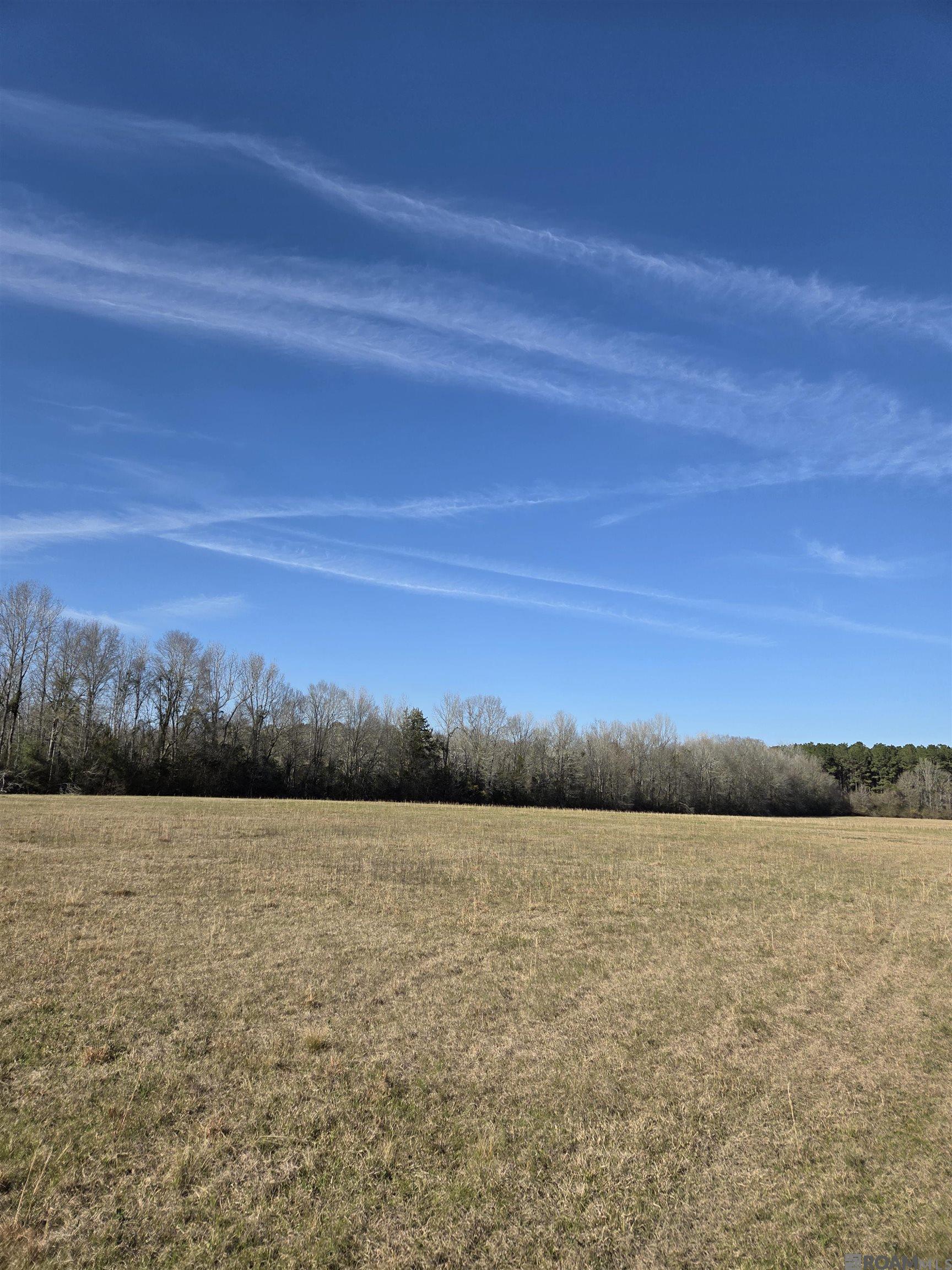3097 La Hwy 966, Saint Francisville, Louisiana image 13