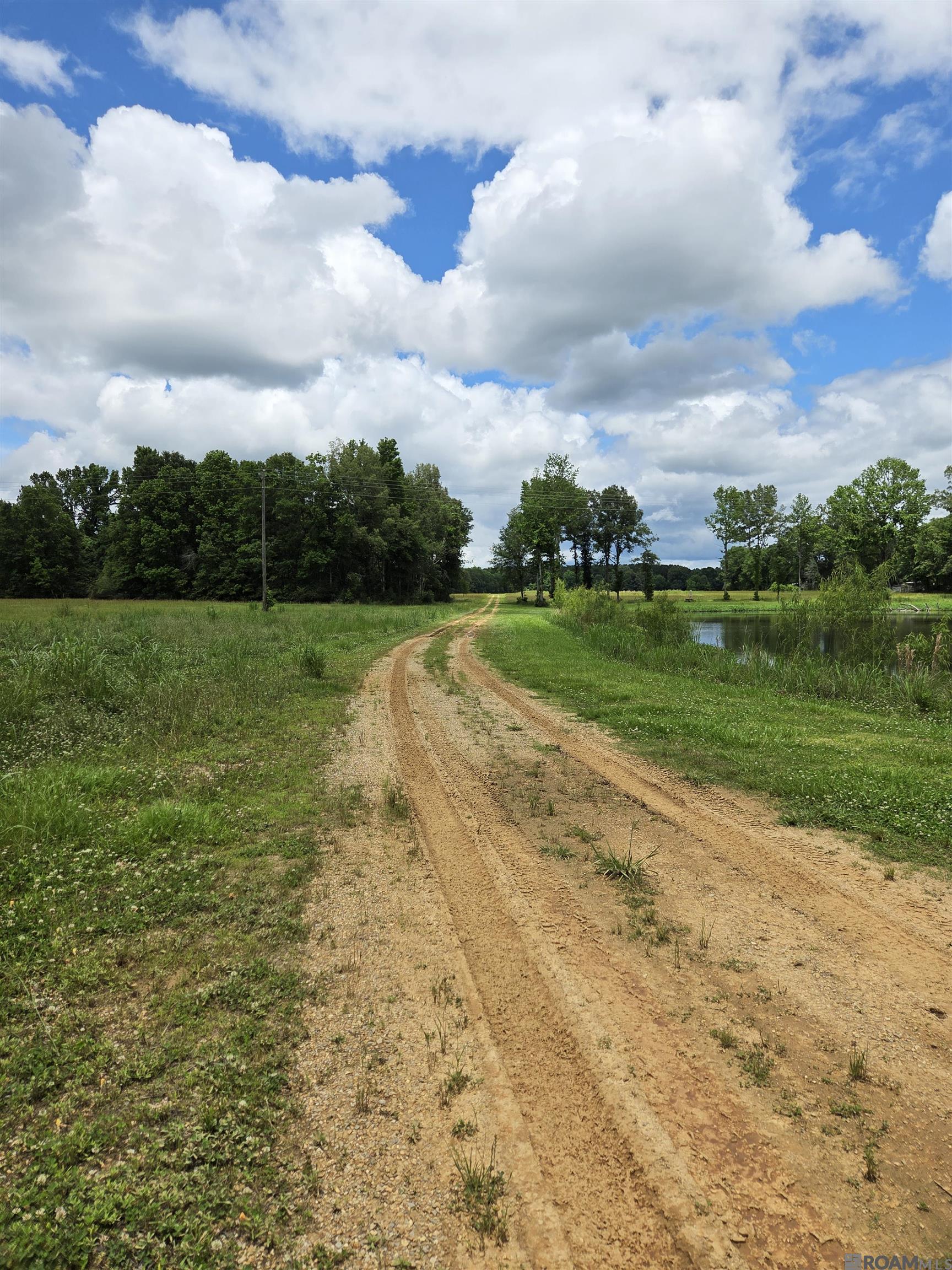 3097 La Hwy 966, Saint Francisville, Louisiana image 7