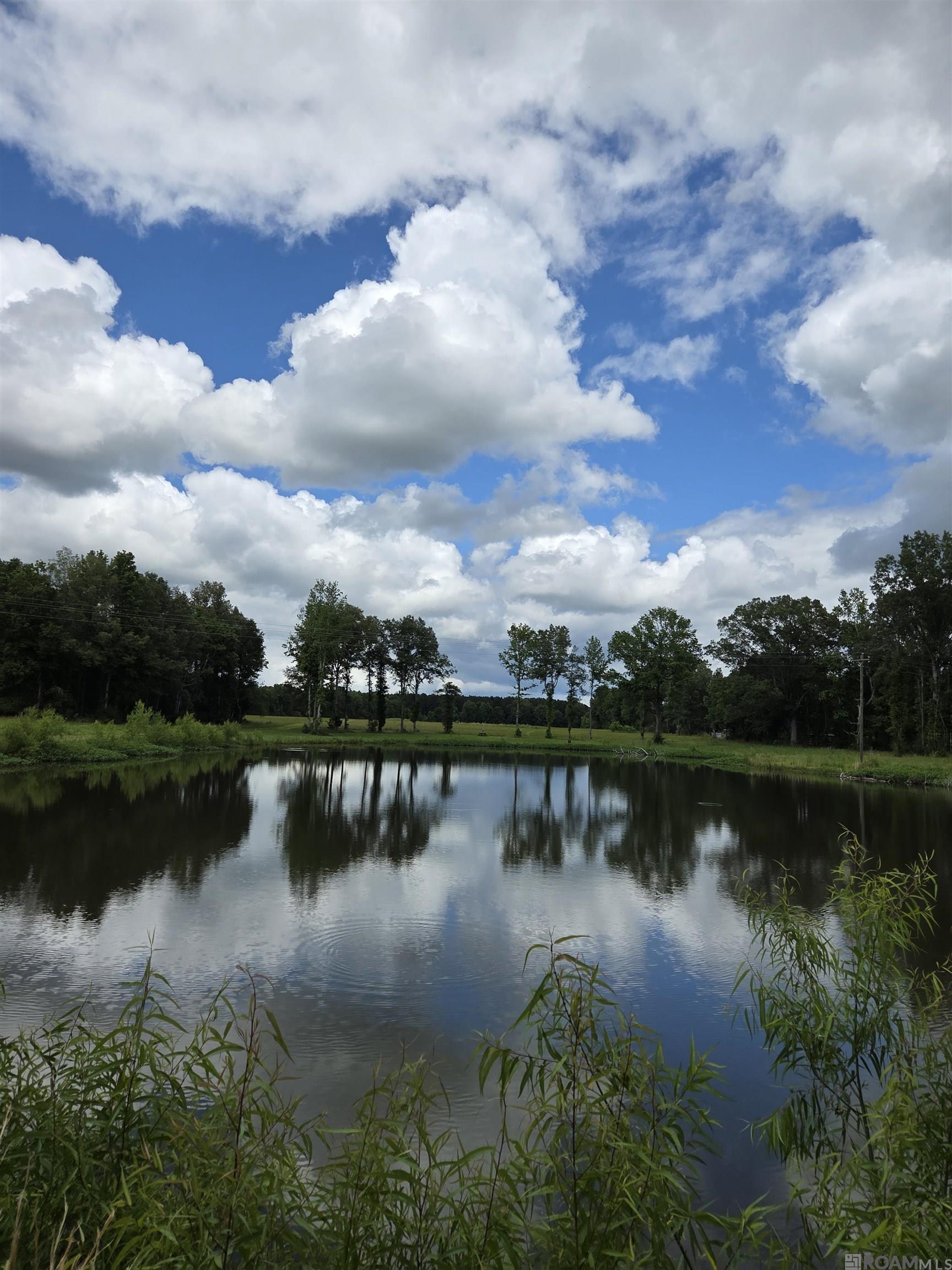 3097 La Hwy 966, Saint Francisville, Louisiana image 2