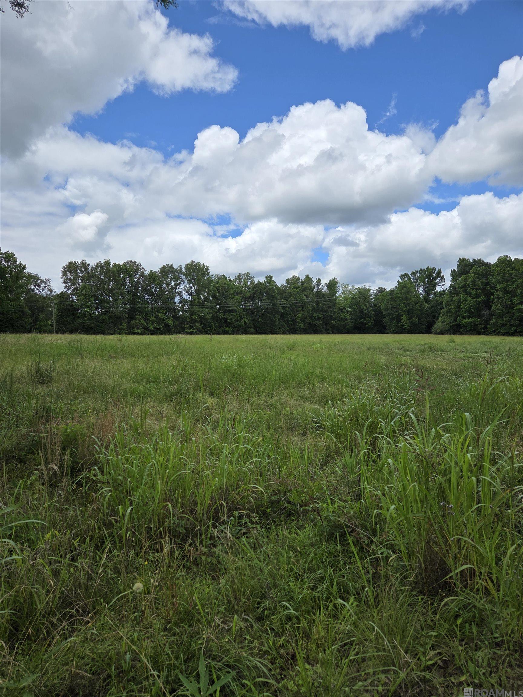 3097 La Hwy 966, Saint Francisville, Louisiana image 8