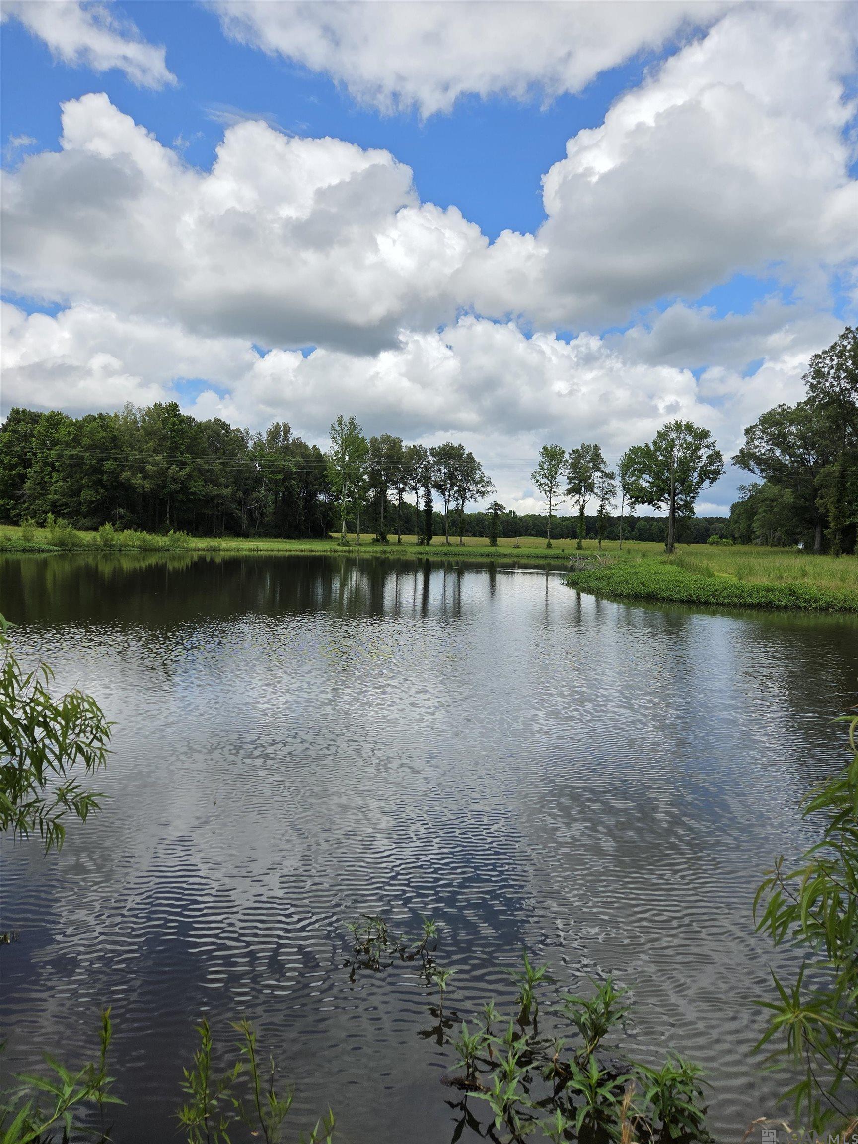 3097 La Hwy 966, Saint Francisville, Louisiana image 3