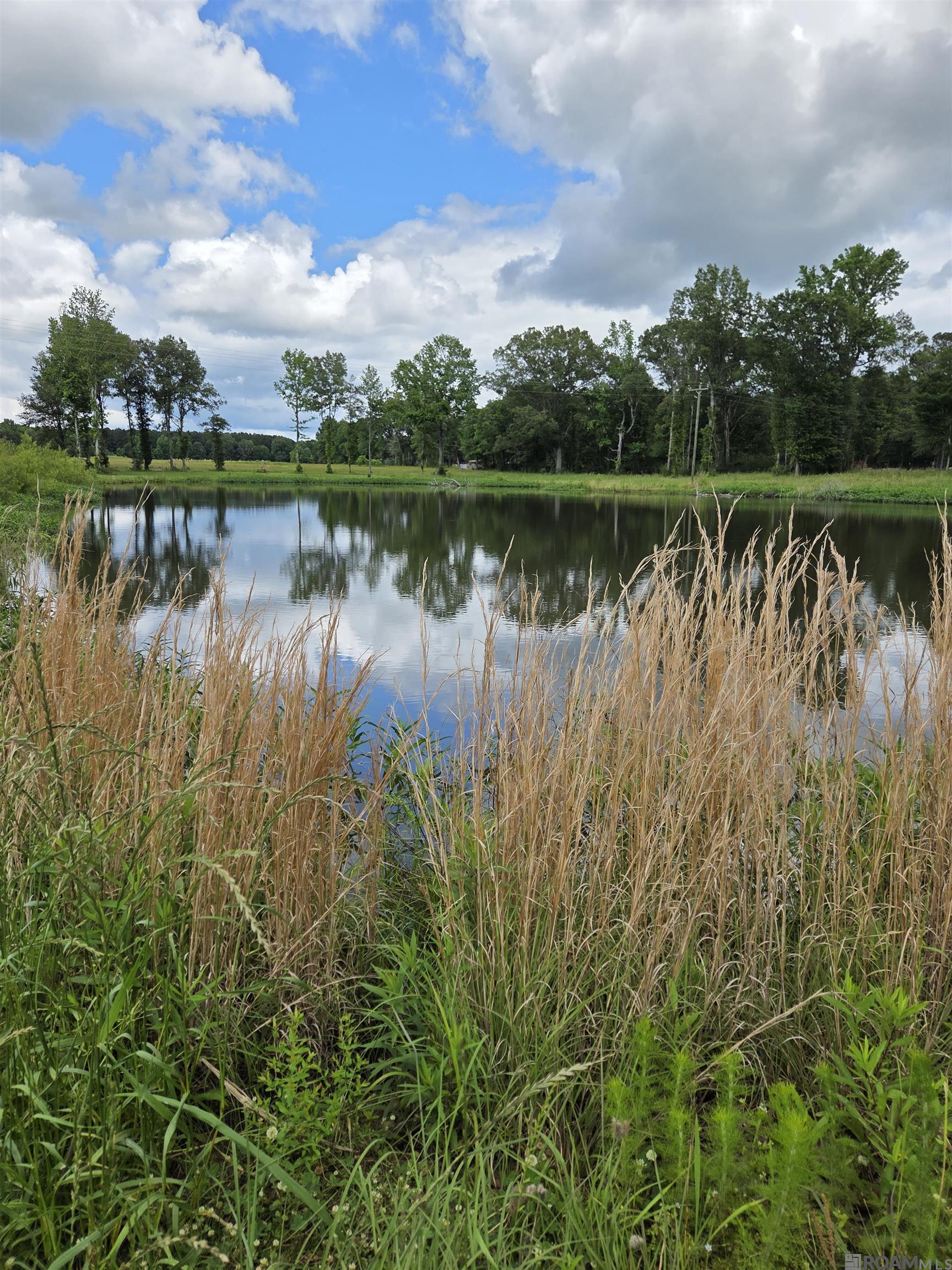 3097 La Hwy 966, Saint Francisville, Louisiana image 1