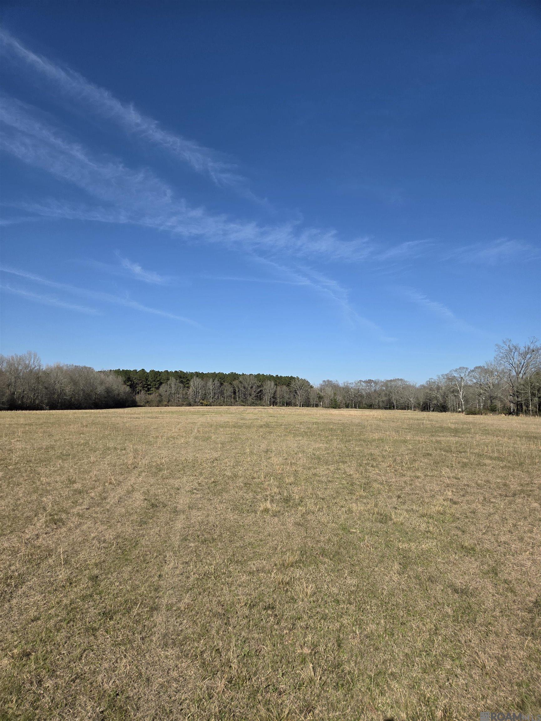 3097 La Hwy 966, Saint Francisville, Louisiana image 14