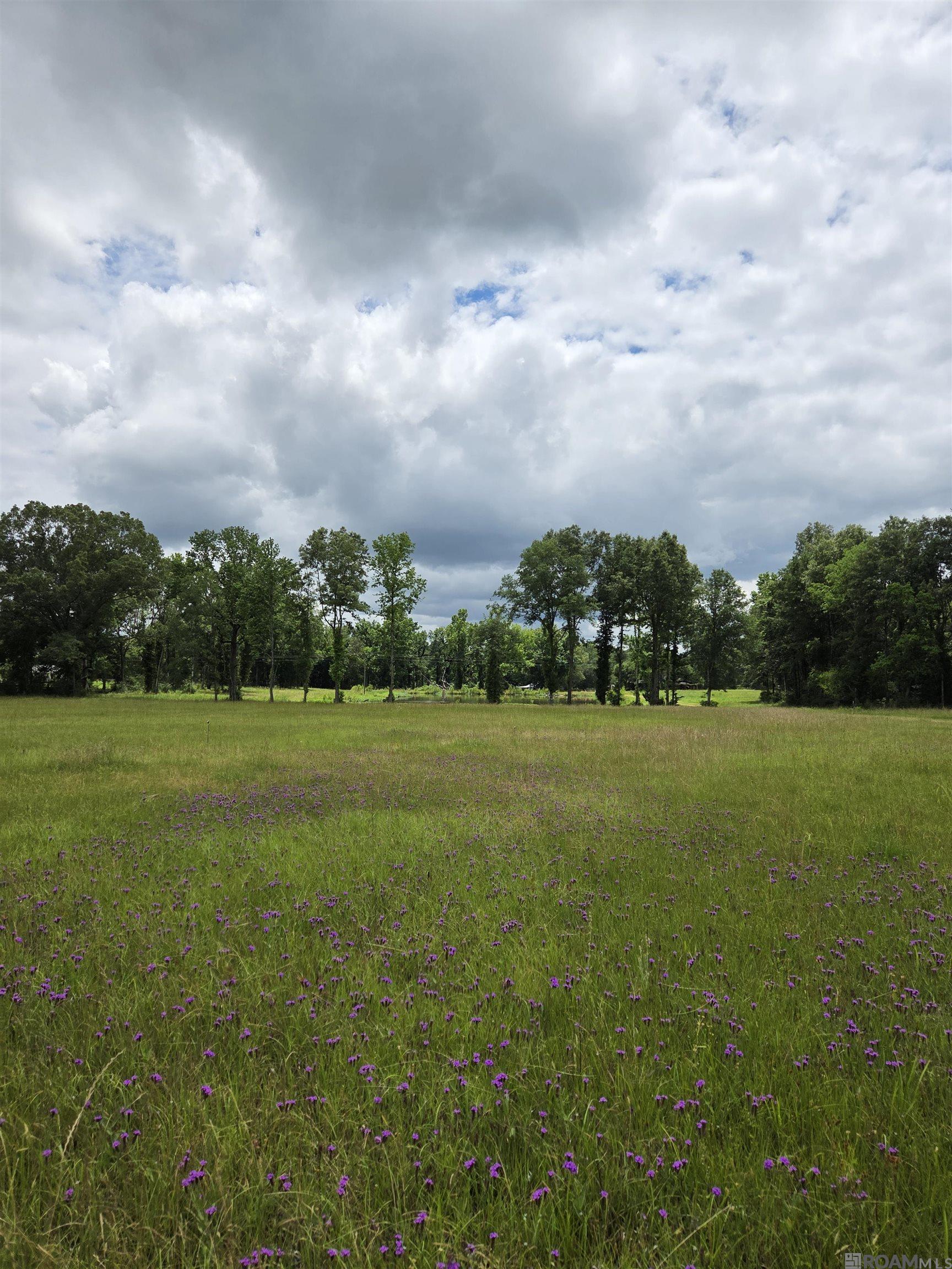 3097 La Hwy 966, Saint Francisville, Louisiana image 5