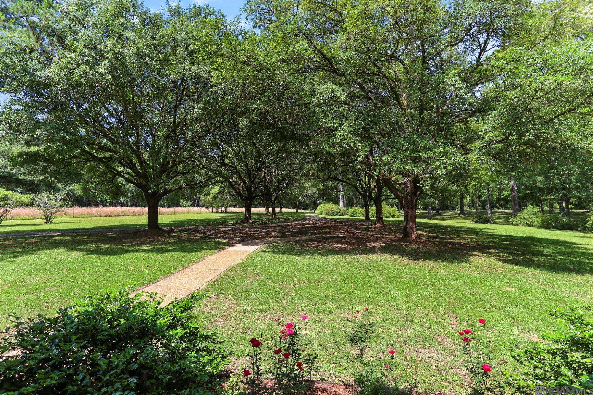 4346 Folkes Rd, Saint Francisville, Louisiana image 26