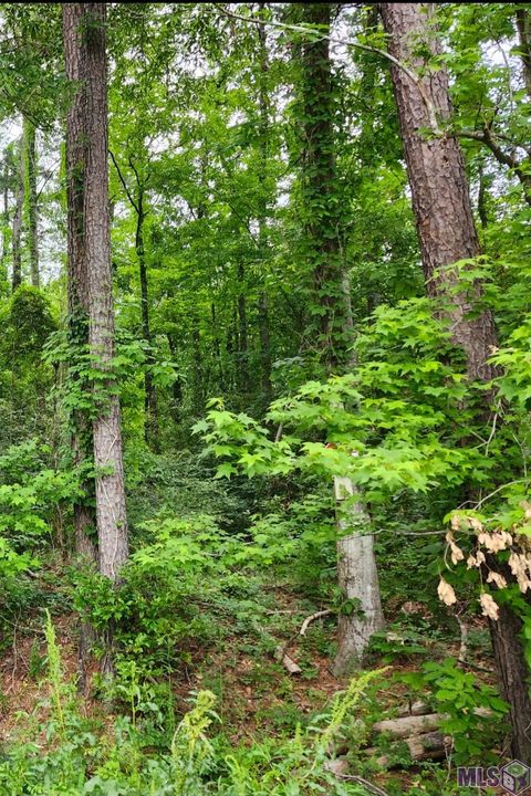 Vacant Land For Sale - LOT 84 Baker Dr<br/> Denham Springs, LA 70726