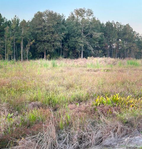Vacant Land For Sale - 16489 Peacock Drive<br/> Walker, LA 70785