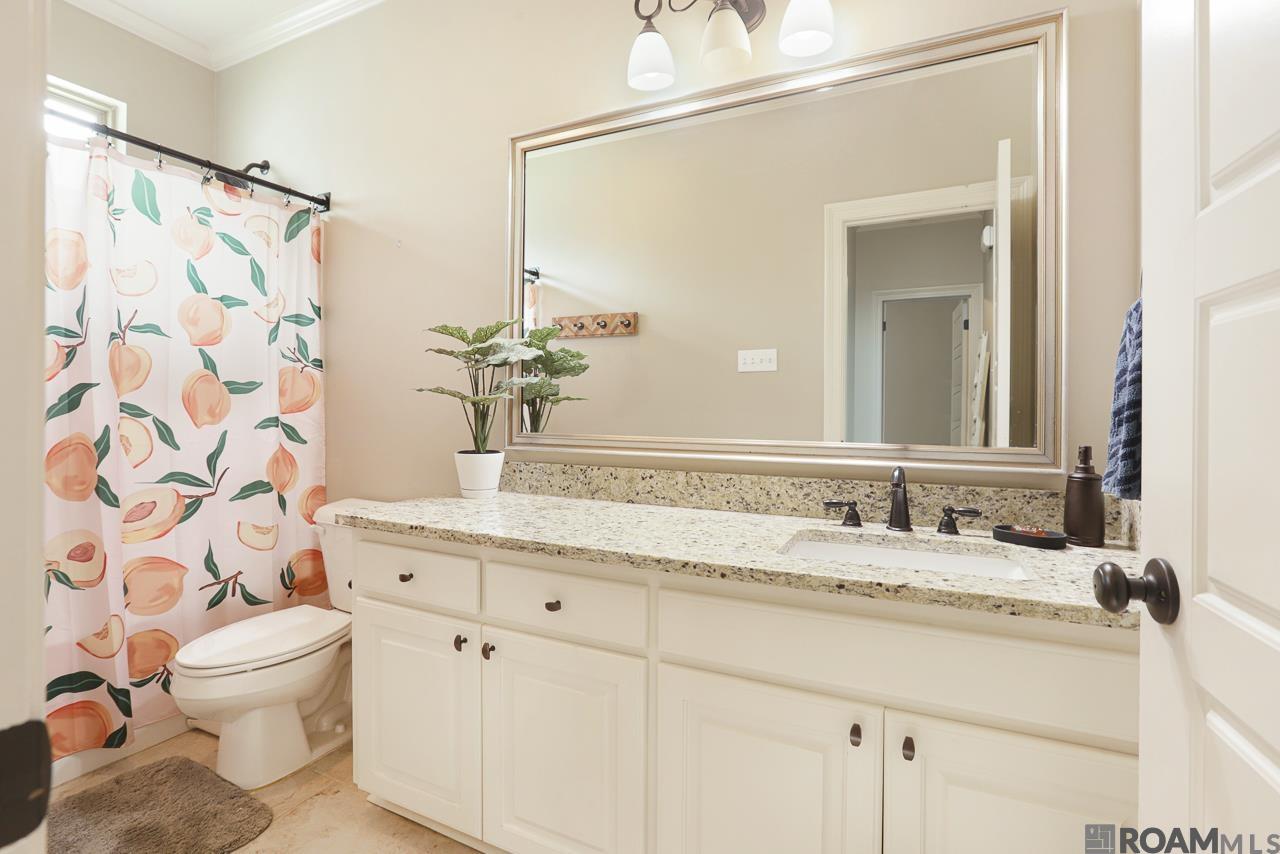 27970 Meadow Hill Ln, Denham Springs, Louisiana image 12
