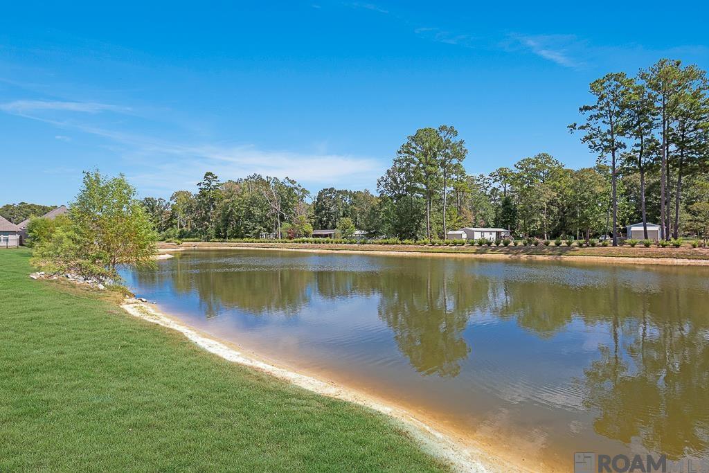 27970 Meadow Hill Ln, Denham Springs, Louisiana image 20